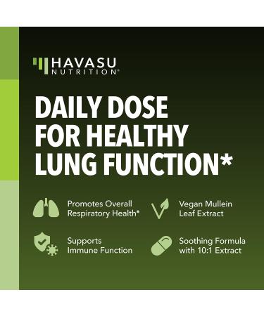 HAVASU NUTRITION Organic Black Seed Oil Liquid + Mullein Leaf Capsules Bundle - Buy Online on GoSupps.com