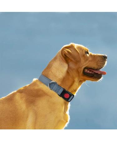 Taglory Medium Dog Collar - Soft Padded Neoprene Nylon Adjustable & Reflective for Training Gray (1 Pack) - International Shipping Available - Buy Online on GoSupps.com