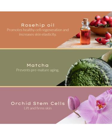 Naked Stem Cell Eye Cream with Vitamin E - Dark Circle & Puffiness Moisturizer - Anti Aging Skin Care for Women - Rosehip & Evening Primrose Oil - 2oz - Buy Online on GoSupps.com