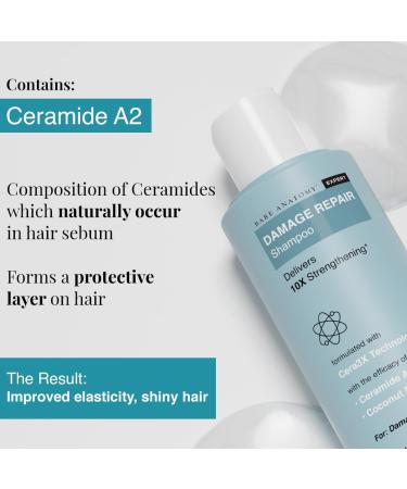 Bare Anatomy Damage Repair Hair Shampoo | Suitable for All Hair Types | Dry & Frizzy Hair | Paraben & Sulphate Free | Women & Men | For Damaged & Weakend Hair | 250 ml - Buy Online on GoSupps.com