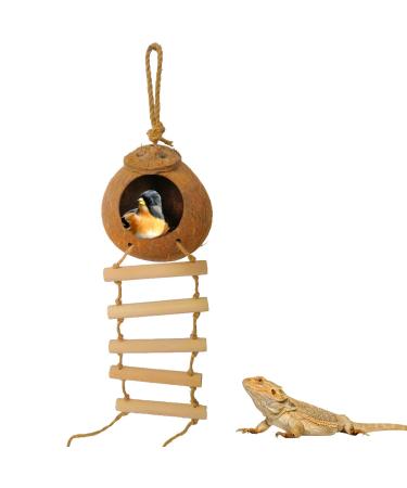 Aobuviou Gecko Coconut Husk Hut Coconut Bird Nest Reptile Coconut Hide with Ladder Natural Reptile Hideouts Bird Coconut Shell Coconut Hide for Reptiles Bird Small Animal