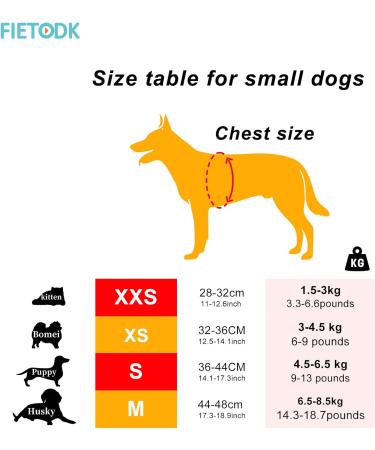 Shop Curli Dog Harness & Dishes for Small Dogs | Leash & Tableware for Puppies - Bright & Stylish - Buy Online on GoSupps.com