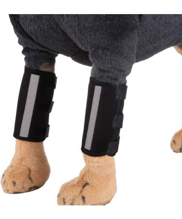Pet Knee Brace 1 Pair Dog Front Leg Braces Carpal Support with Safety Reflective Straps for Dogs with Arthritis and Injuries(M) - Buy Online on GoSupps.com