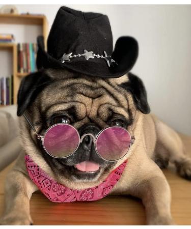 4 PCS Pink Cowgirl Hat Bandanna Sunglasses Hiphop Costume for Pet - Cowboy & Hippie Look - Buy Online on GoSupps.com