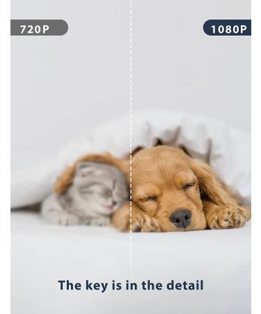 GNCC Pet Camera with Night Vision, 2-Way Audio, Smart Detection, and Remote Control for Baby & Pet Monitoring - WiFi Indoor Camera for Security - SD&Cloud Storage - P1 - Buy Online on GoSupps.com