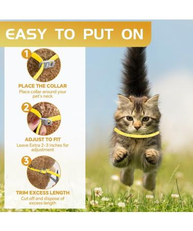 YOTANGO Cat Collar Repellent 1 Pack Cat Collar-Built-in Pant-Based Formula Strong Repellency Slow Release Pleasant Aroma Waterproof (Yellow) - Buy Online on GoSupps.com