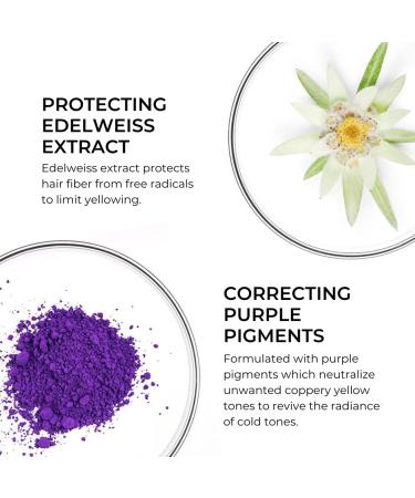 Phyto Purple Hair Mask for Blonde Hair | Neutralizes Yellow Tones & Reduces Brassiness | 200ml - Buy Online on GoSupps.com