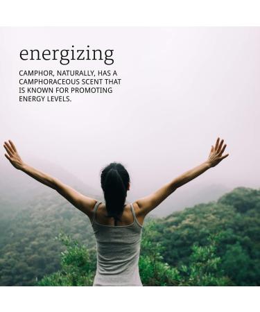 NOW Camphor Oil 1-Ounce (Pack of 2) - Buy Online on GoSupps.com