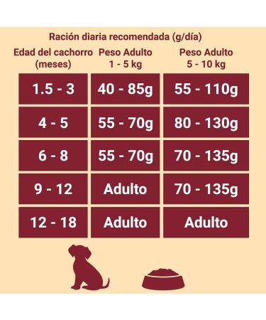 Purina One Junior Dog Chicken and Rice 1500 g - Buy Online on GoSupps.com