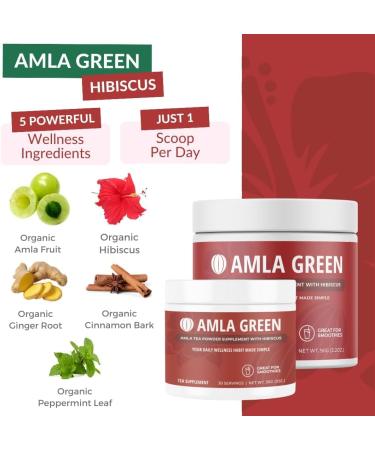 Amla Powder & Green Tea Superfood Supplement Antioxidant Support Made with Elderberries (90 Servings) & Hibiscus (30 Servings) Organic Vegan - Buy Online on GoSupps.com