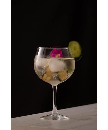 Dehydrated Cucumber without Organic Additives 100% Natural Dried Fruits for Cocktail Infusions Edible Decorations Dried Cucumber Chips - 100 Slices of Natural Cucumber 45GR - Buy Online on GoSupps.com