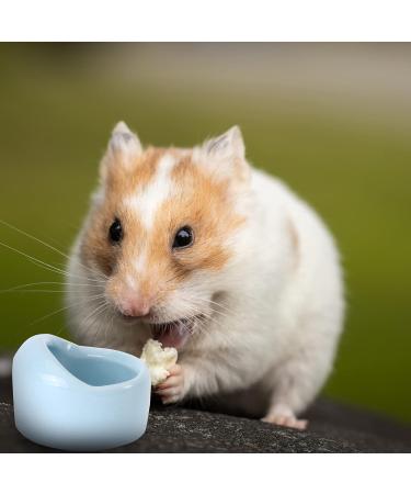 Hamster Bowl- Small Animal Food Dish Hamster Water Bowl for Bunny Guinea Pig Hamster Chinchilla Rabbit Blue - Buy Online on GoSupps.com