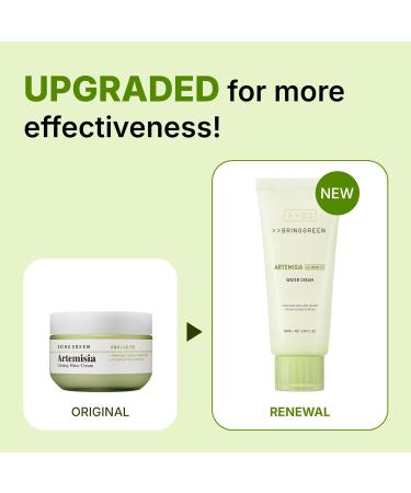 BRING GREEN Artemisia Calming EX Water Cream 100mL - Buy Online on GoSupps.com