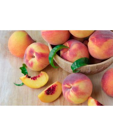 Liquipak Vegan Washing Up Liquid Refill - Peach & Pink Pepper | 100% Vegan & Cruelty-Free Removes Tough Stains (5 Litres) 5 l (Pack of 1) - Buy Online on GoSupps.com