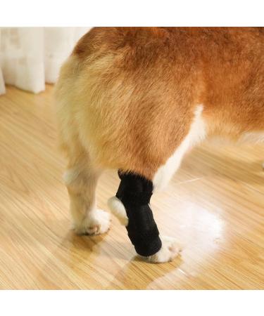 Dog Knee Brace 2-Pack Dog Leg Brace with Bimetallic Spring Bars Canine Rear Hock Support Protects Wounds Heals and Prevents Injuries and Sprains Helps with Loss of Stability Caused by Arthritis (XL) - Buy Online on GoSupps.com