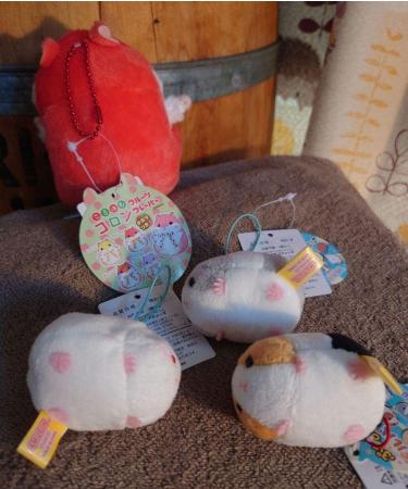 Korohamu Cologne & Puchimaru Mole Party Set - Buy Online on GoSupps.com