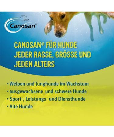 Boehringer Ingelheim CANOSAN 650g Concentrate for Dogs & Cats - Vet Approved Supplement | International Shipping Available - Buy Online on GoSupps.com