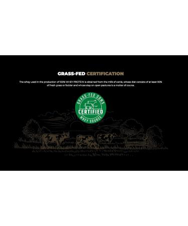 Nutrend 100% Whey Protein Powder - Muscle Building & Recovery with Glutamine & Amino Acids 1000g White Chocolate Coconut - International Shipping Available - Buy Online on GoSupps.com