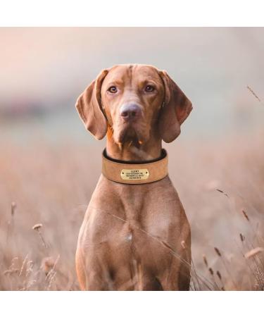 Personalized PU Leather Dog Collar for Large Rottweilers - Soft Padded 5cm Wide Engraved Name Fit Hals 48-58cm - Brown - Buy Online on GoSupps.com