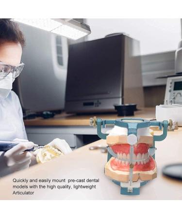Buy Magnetic Anatomical Articulator for Adjustable Prostheses | Easy-to-Use Dental Laboratory Device for Learning - Buy Online on GoSupps.com