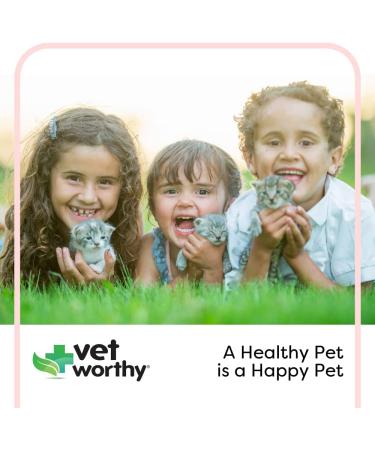 Vet Worthy Canine Nursing Kit - 7-Piece Set for Orphaned Puppies - Feeding Bottle, Milk Bottle Brush, 5 Nipples Included - Pet Feeding Support - Buy Online on GoSupps.com