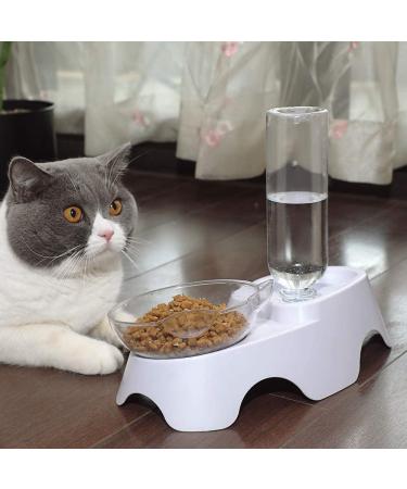 MILIFUN Double Dog Cat Bowls - Tilted Water Food Bowl Set with Automatic Waterer Bottle - Buy Online on GoSupps.com