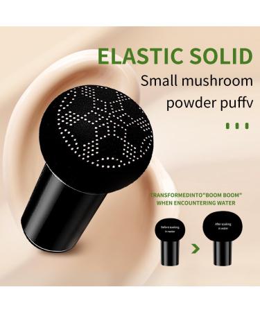 Aloe Vera BB Cushion Compact - Full Coverage Concealer Hydrating Makeup Base with Mushroom Head Puff for Even Skin Tone & Pore Minimizing 0.53 oz (01#) - Buy Online on GoSupps.com