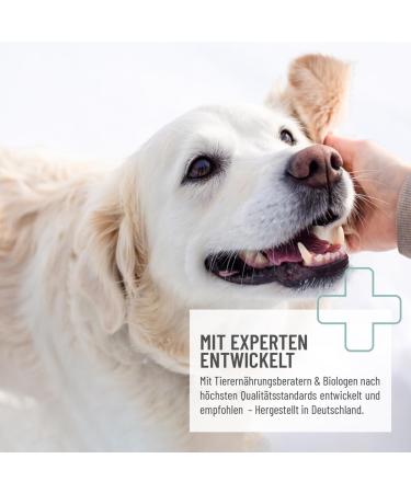 ReaVET Immune Defense Paste Dogs 30 ML - Immune Booster Dog Strengthens The Immune System The Defenses of The Puppy and The Dog Vitality and Immune Strength - Buy Online on GoSupps.com