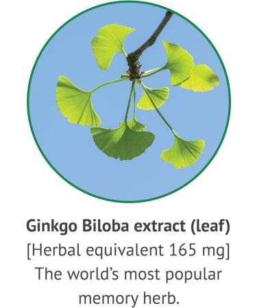 Botanic Choice Ginkgo Biloba Leaf Liquid Extract Alcohol Free, Gluten Free, Fast Acting Supplement Drops Easy to Use Dropper 1 Fluid Ounce - Buy Online on GoSupps.com