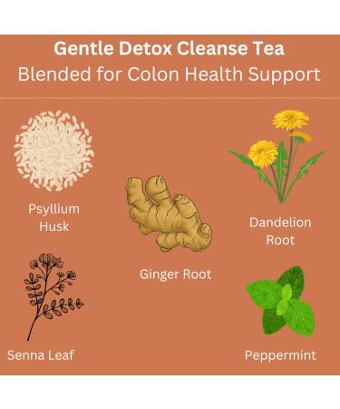 Gentle Detox Cleanse Tea - Natural Herbal Digestive & Colon Health Support - Caffeine-Free Loose Leaf 3oz - International Shipping Available - Buy Online on GoSupps.com