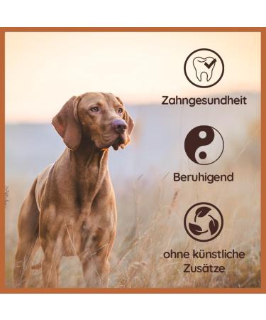Wildfang Chewing Root for Dogs | Durable Dental Chew Toy | Splinter-Low Tree Heath Wood | Optimal Care for Puppies & Dogs (M: 151g-300g) - Buy Online on GoSupps.com
