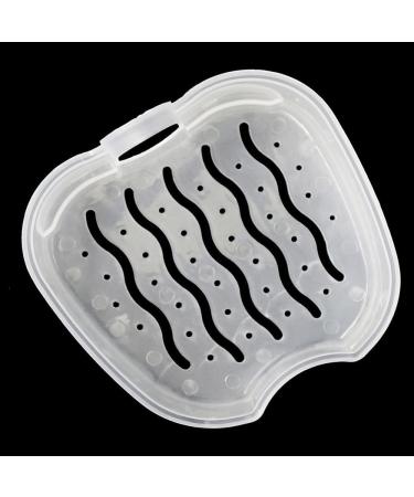 Qiuday Prosthesis Case - Dental False Teeth Storage Box with Hanging Net 2PCs for Travel & Cleaning - Buy Online on GoSupps.com