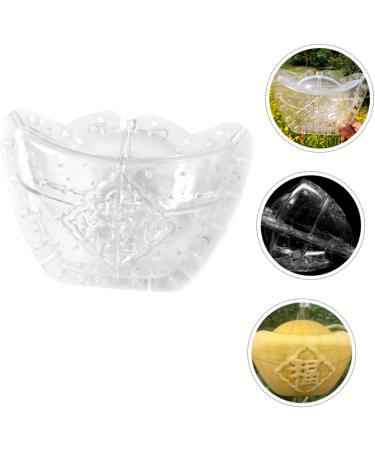 CIYODO Fruits Mold Square Mold Pumpkin Mold Clear Fruit Plastic Fruit Small Growing Mold Ginseng Watermelon Plant - Buy Online on GoSupps.com