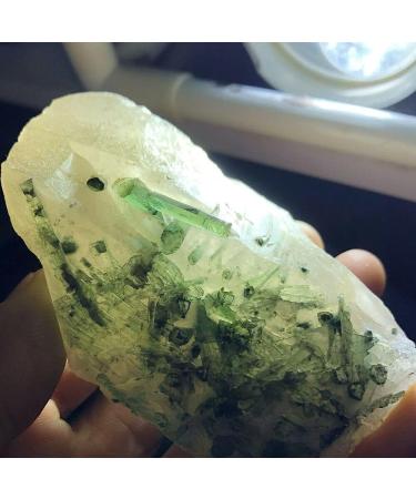 Green Tourmaline Natural Verdelite Crystal Specimen #106 JZIGTDEM - Buy Online on GoSupps.com