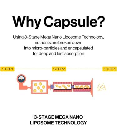 d'alba Piedmont Vita Toning Serum Toner + White Truffle Oil Capsule Serum + Vita Toning Capsule Cream - Buy Online on GoSupps.com