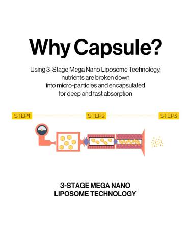 d'alba Piedmont White Truffle Oil Capsule Serum Daily Vita Boost for Luminous Skin Double Vitamin Formula Big Size (3.38fl. oz.) - Buy Online on GoSupps.com