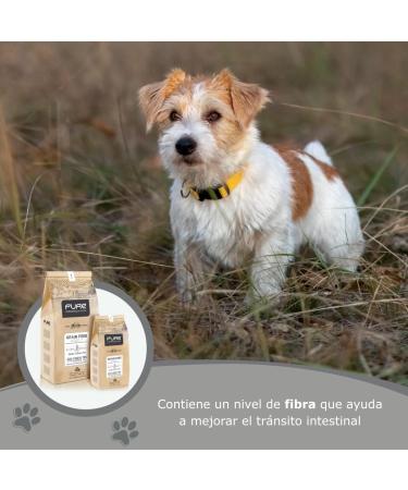 Avantis Pet Pure Grain Free Adult Dog Food for Adult Dogs of All Breeds 2 kg 100% complete and balanced food with Chicken and without cereals for dogs suffering from intolerance and - Buy Online on GoSupps.com