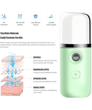 Pulv risateur brumisateur pulv risateur portable nano ionique - Pulv risateur facial pour les soins de la peau rafra chissant revitalisant et apaisant - Vapeur pour le visage pour un Aizuoni Vert - Buy Online on GoSupps.com