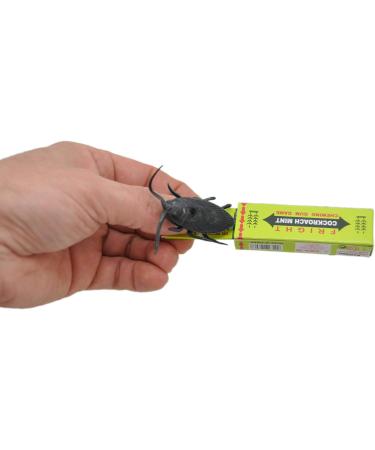 Jameitop Set of 4 Fake Cockroach Chewing Gum - Hilarious Prank Gift for Nasty Jokes - Buy Online on GoSupps.com