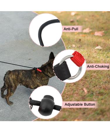 Zopseet Dog Leash Slip Nylon Dog Rope Leash & Collar Dog Choke Collar Handmade of Strong Cord for Small Medium Dogs Puppies - Buy Online on GoSupps.com