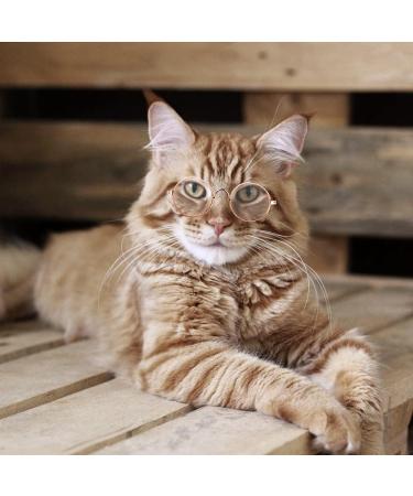 Pet Glasses Reflective Cat Retro Circular Pomeranian Sunglasses with Metal Frame for Cats Small Dogs Cosplay Photos Props black - Buy Online on GoSupps.com