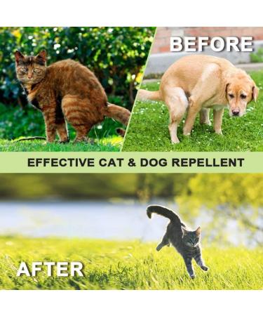 PHG Natural Non-Toxic Dog and Cat Repellent Granule - Pack of 3 - Buy Online on GoSupps.com