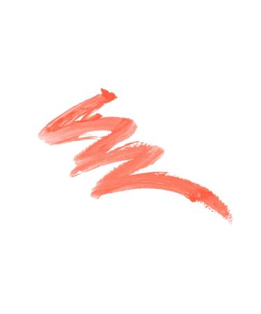 Wet n Wild Mega Stick Lip Balm Stain 158a See If I Carrot 0.10oz - Buy Online on GoSupps.com