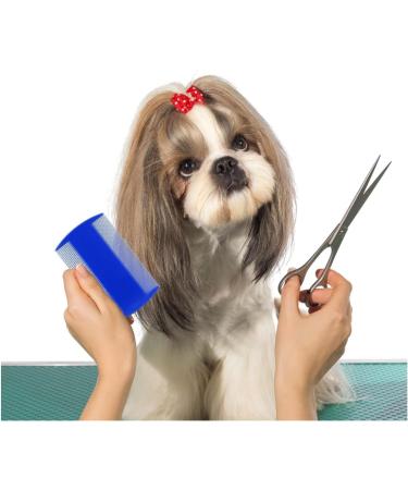 Zhjuju Lice Change - 4 Long-Lasting Double-Sided Combs for Head Lice | Durable Fine-Toothed Lice Removal for Kids Adults & Pets - Green & Blue - Buy Online on GoSupps.com