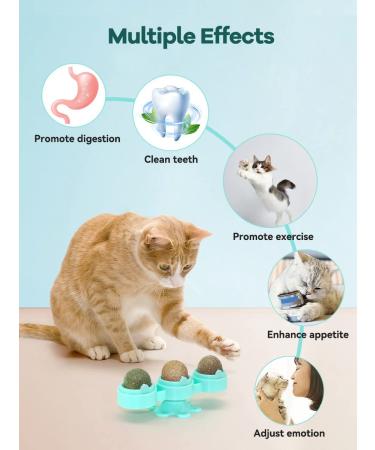 Petslucent 3-in-1 Catnip Ball Toy Set for Cats | Wall Ball, Mint Balls, Lick Roller | Safe, Healthy, and Edible | Dental Care Chew Toys for Kitten | Indoor Blue - Buy Online on GoSupps.com