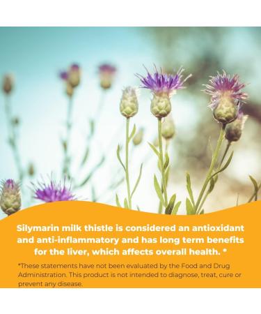 Wonder Labs Silymarin Milk Thistle Supports Healthy Liver Detox - 250 Capsules 250 Count (Pack of 1) - Buy Online on GoSupps.com