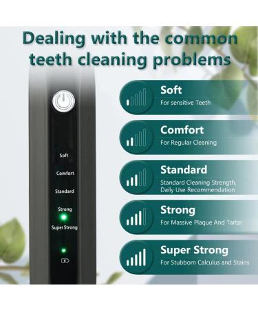 Wohlsen Tooth Cleaning Set - 5 Intensities IPX7 Waterproof Low Noise USB & LED Display - Ideal for Home & Travel - Buy Online on GoSupps.com