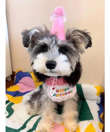 Cute Cat & Dog Birthday Party Supplies - Pink Birthday Bandana & Hat Set - Buy Online on GoSupps.com
