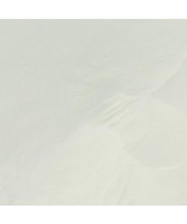 Yinhing Poudre Lumineuse DIY Peinture de Carrosserie Nail Art Bright Decoration 100g (Vert bleu) - Buy Online on GoSupps.com