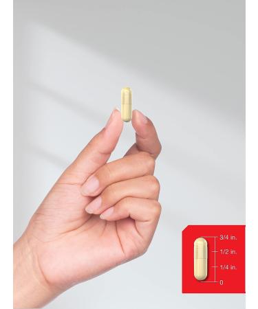 AMPK Metabolic Activator 450mg | 60 Capsules | Weight Management Support | Non-GMO & Gluten-Free | Jiaogulan Gynostemma - Buy Online on GoSupps.com